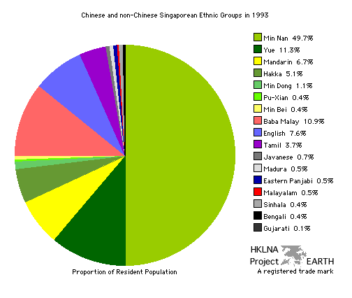 Singapore's Ethnic Diversity - Pie Graph